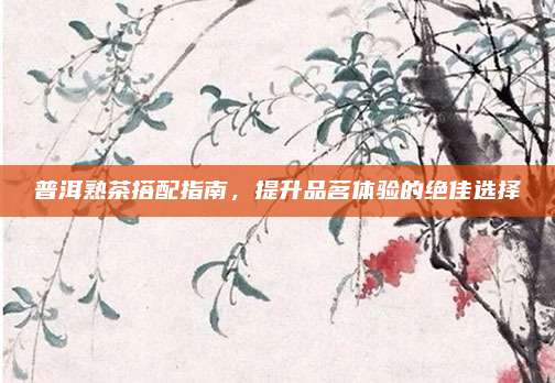 普洱熟茶搭配指南，提升品茗体验的绝佳选择