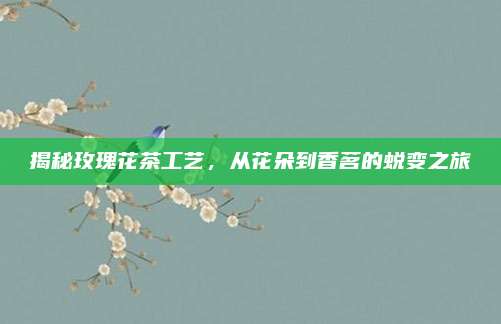 揭秘玫瑰花茶工艺,从花朵到香茗的蜕变之旅