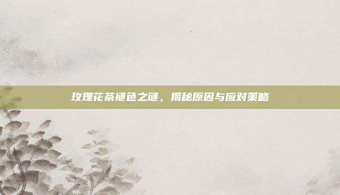 玫瑰花茶褪色之谜，揭秘原因与应对策略