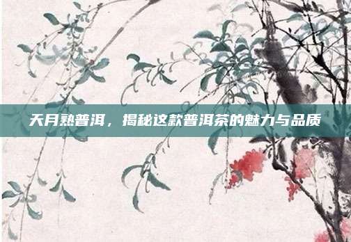 天月熟普洱,揭秘这款普洱茶的魅力与品质