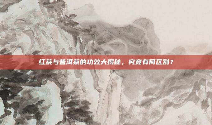 红茶与普洱茶的功效大揭秘,究竟有何区别?