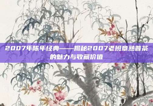 2007年陈年经典——揭秘2007老班章熟普茶的魅力与收藏价值