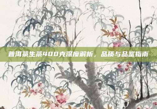 普洱茶生茶400克深度解析，品质与品鉴指南