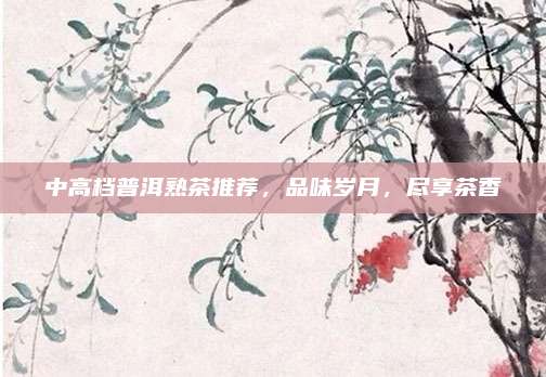 中高档普洱熟茶推荐,品味岁月,尽享茶香