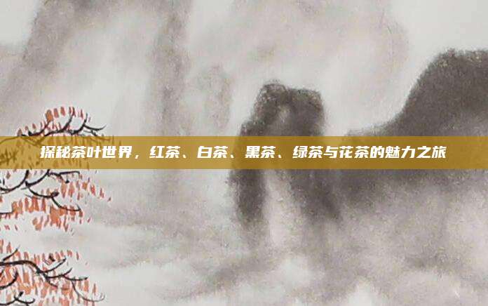 探秘茶叶世界,红茶、白茶、黑茶、绿茶与花茶的魅力之旅