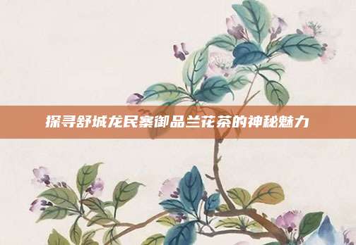 探寻舒城龙民寨御品兰花茶的神秘魅力