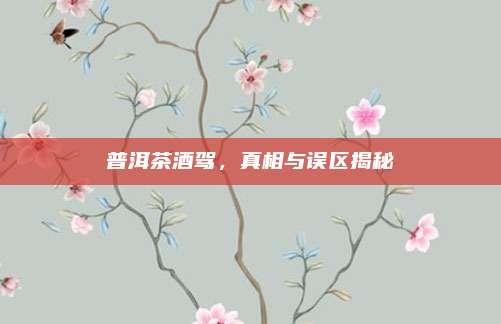 普洱茶酒驾，真相与误区揭秘