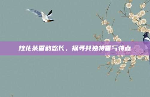 桂花茶香韵悠长,探寻其独特香气特点