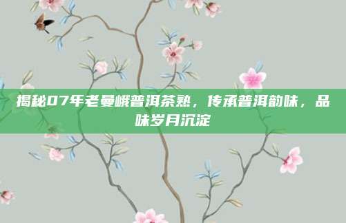 揭秘07年老曼峨普洱茶熟,传承普洱韵味,品味岁月沉淀