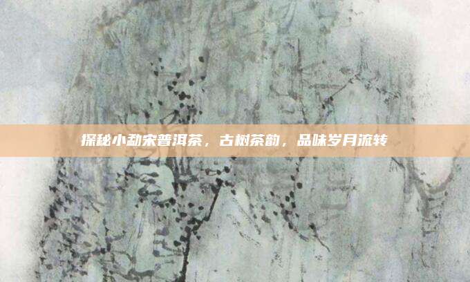 探秘小勐宋普洱茶,古树茶韵,品味岁月流转