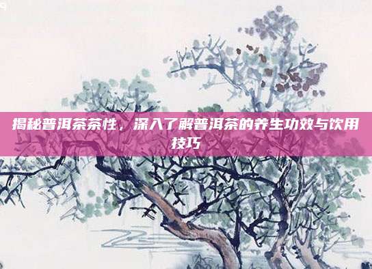 揭秘普洱茶茶性,深入了解普洱茶的养生功效与饮用技巧