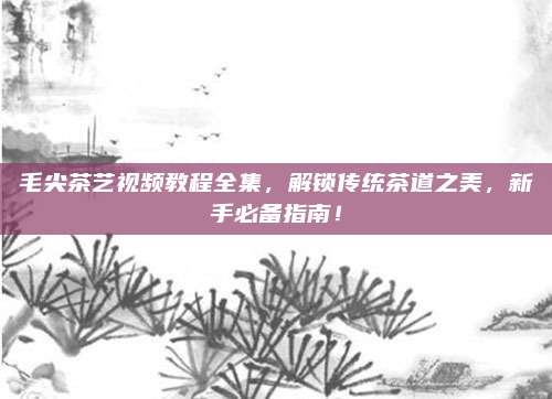 毛尖茶艺视频教程全集，解锁传统茶道之美，新手必备指南！