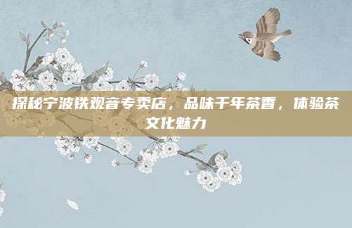 探秘宁波铁观音专卖店,品味千年茶香,体验茶文化魅力