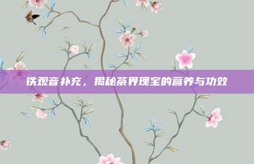 铁观音补充，揭秘茶界瑰宝的营养与功效