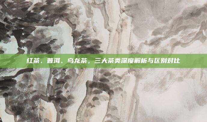 红茶、普洱、乌龙茶，三大茶类深度解析与区别对比