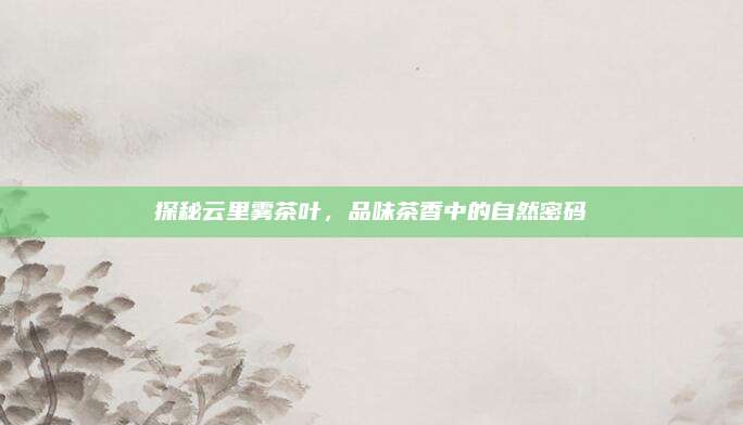 探秘云里雾茶叶，品味茶香中的自然密码
