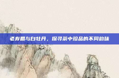 老寿眉与白牡丹,探寻茶中珍品的不同韵味