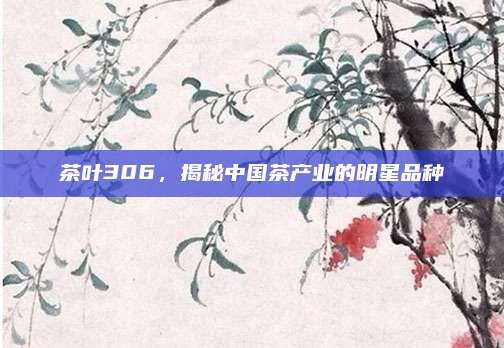 茶叶306，揭秘中国茶产业的明星品种