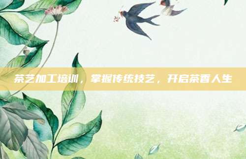 茶艺加工培训,掌握传统技艺,开启茶香人生