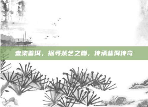 壹柒普洱，探寻茶艺之巅，传承普洱传奇