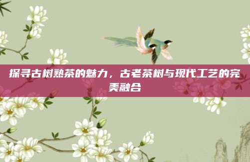 探寻古树熟茶的魅力,古老茶树与现代工艺的完美融合