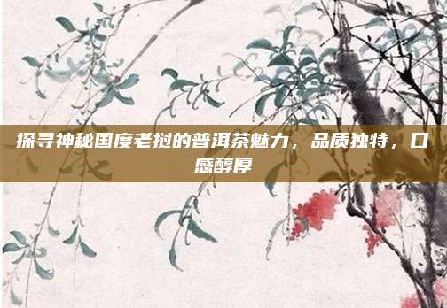 探寻神秘国度老挝的普洱茶魅力,品质独特,口感醇厚