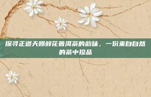 探寻正道天赐鲜花普洱茶的韵味,一份来自自然的茶中珍品