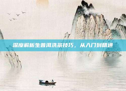 深度解析生普洱洗茶技巧,从入门到精通