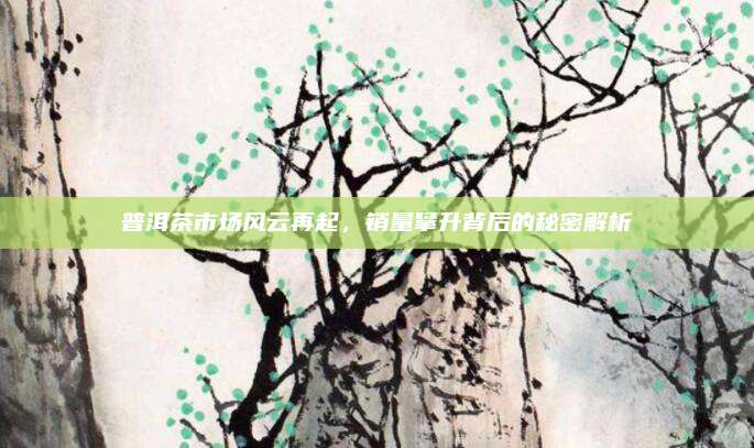 普洱茶市场风云再起,销量攀升背后的秘密解析