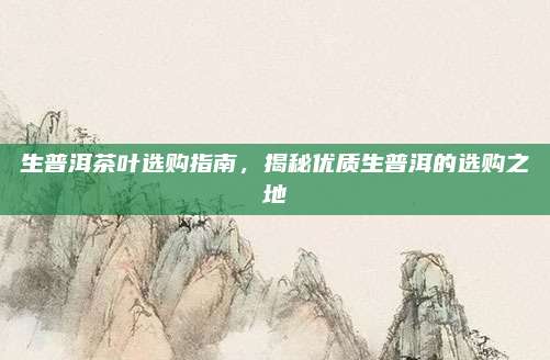 生普洱茶叶选购指南,揭秘优质生普洱的选购之地