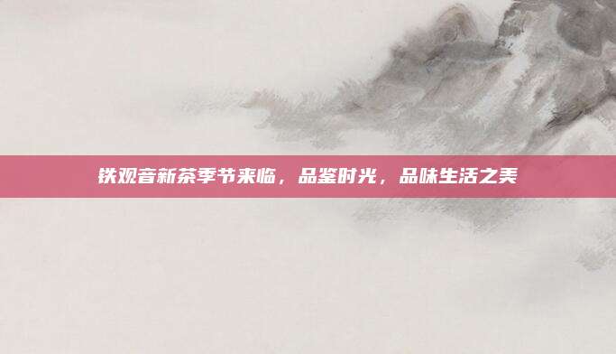 铁观音新茶季节来临,品鉴时光,品味生活之美