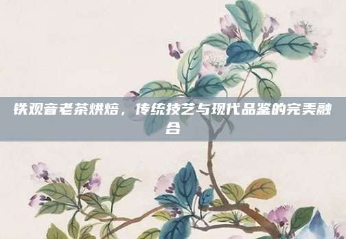 铁观音老茶烘焙,传统技艺与现代品鉴的完美融合