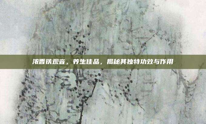 浓香铁观音,养生佳品,揭秘其独特功效与作用