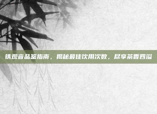 铁观音品鉴指南，揭秘最佳饮用次数，尽享茶香四溢