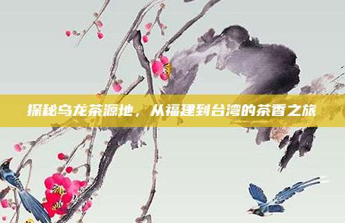 探秘乌龙茶源地,从福建到台湾的茶香之旅