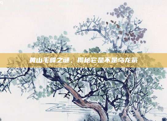黄山毛峰之谜,揭秘它是不是乌龙茶