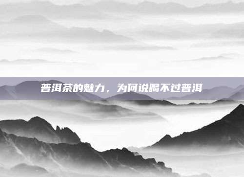 普洱茶的魅力,为何说喝不过普洱