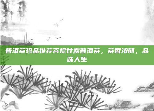 普洱茶珍品推荐菩提甘露普洱茶,茶香浓郁,品味人生