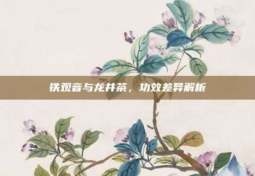 铁观音与龙井茶，功效差异解析