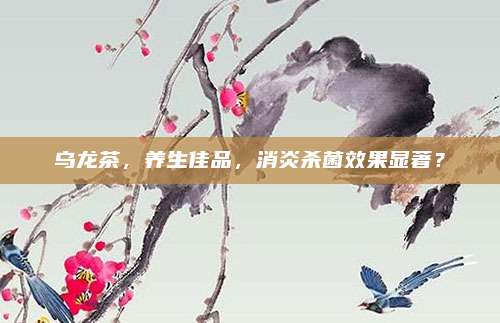 乌龙茶,养生佳品,消炎杀菌效果显著?