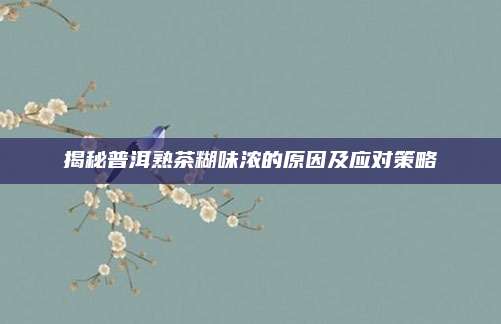 揭秘普洱熟茶糊味浓的原因及应对策略