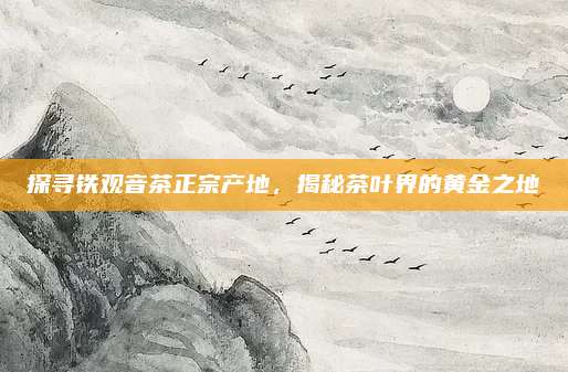 探寻铁观音茶正宗产地,揭秘茶叶界的黄金之地