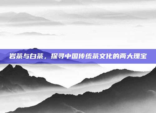 岩茶与白茶，探寻中国传统茶文化的两大瑰宝