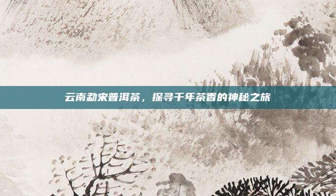 云南勐宋普洱茶，探寻千年茶香的神秘之旅