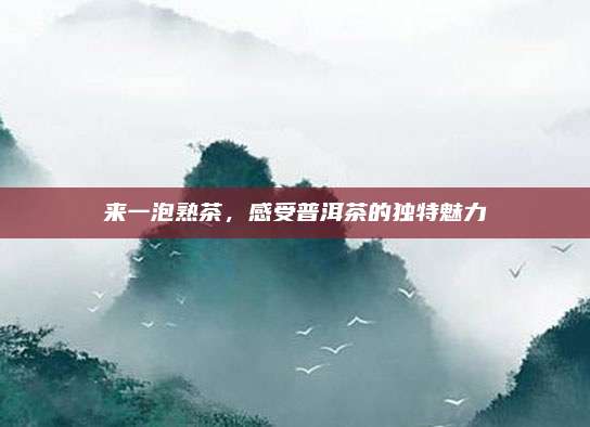 来一泡熟茶,感受普洱茶的独特魅力