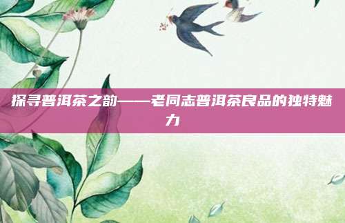 探寻普洱茶之韵——老同志普洱茶良品的独特魅力