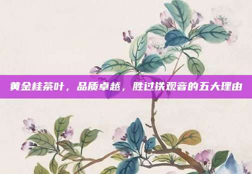 黄金桂茶叶,品质卓越,胜过铁观音的五大理由
