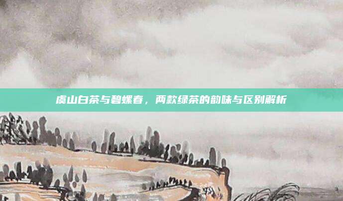 虞山白茶与碧螺春，两款绿茶的韵味与区别解析