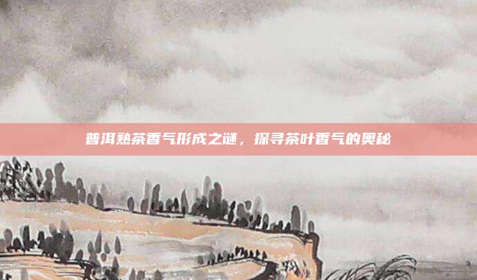 普洱熟茶香气形成之谜，探寻茶叶香气的奥秘