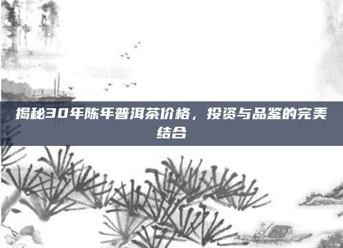 揭秘30年陈年普洱茶价格，投资与品鉴的完美结合